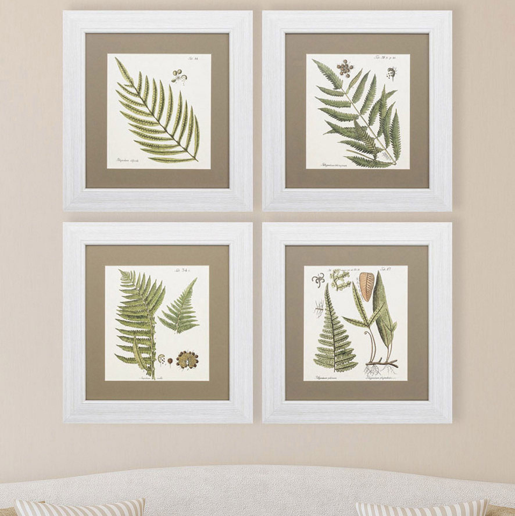 Set of 4 Fern I/II/III/IV 18" High Wall Art Prints