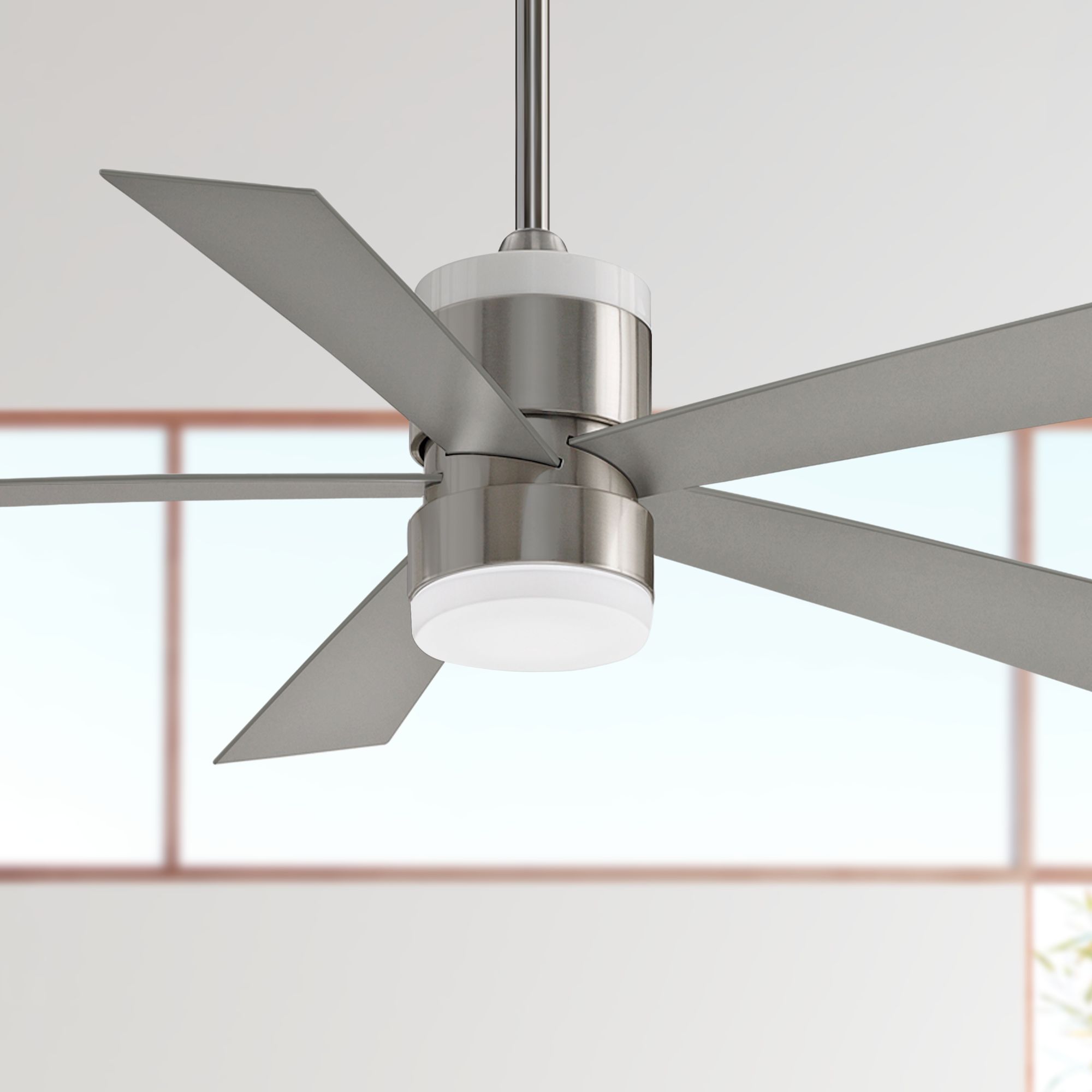 Fanimation Ceiling Fan Parts Shelly Lighting