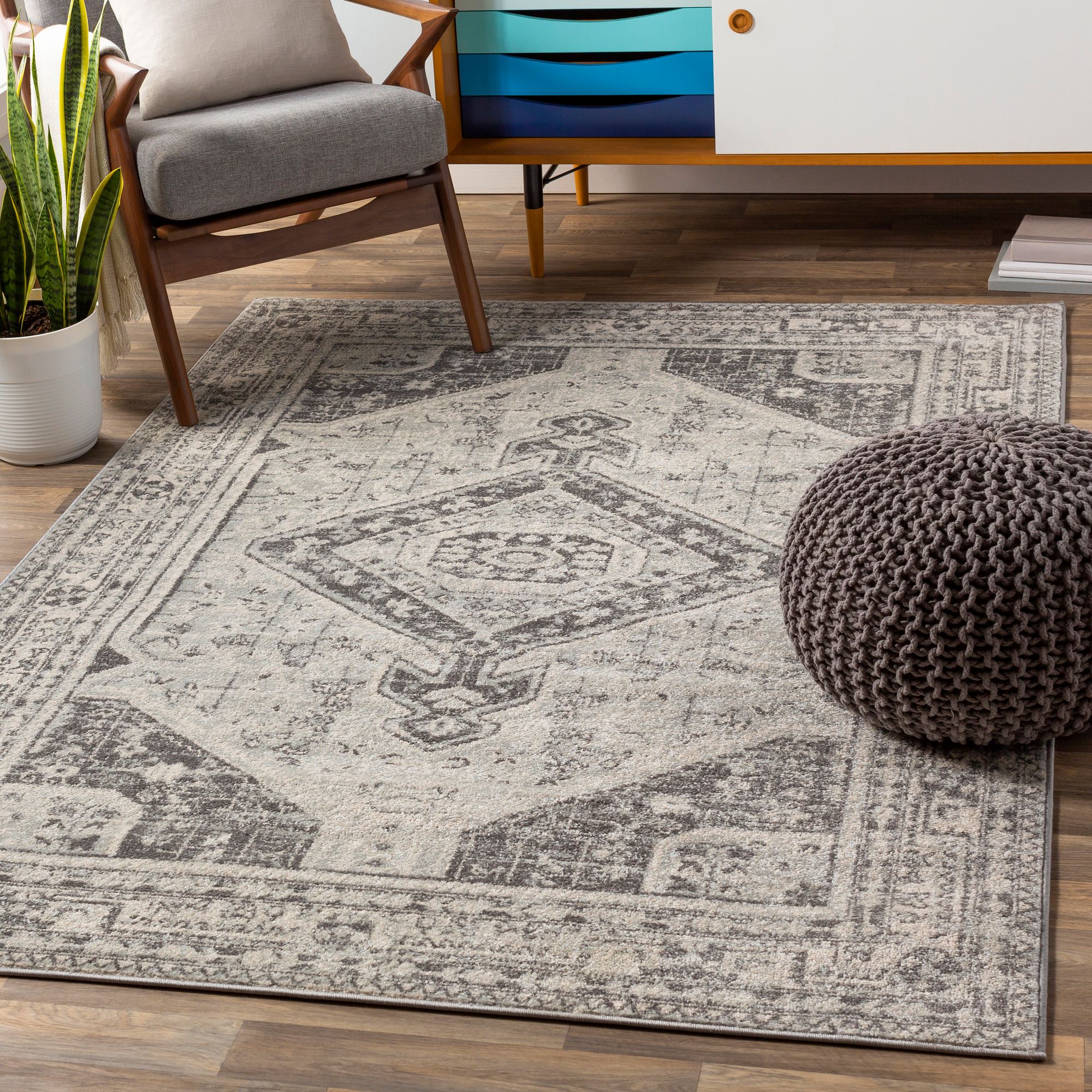 Chester CHE-2315 5'3" x 7'3" Area Rug
