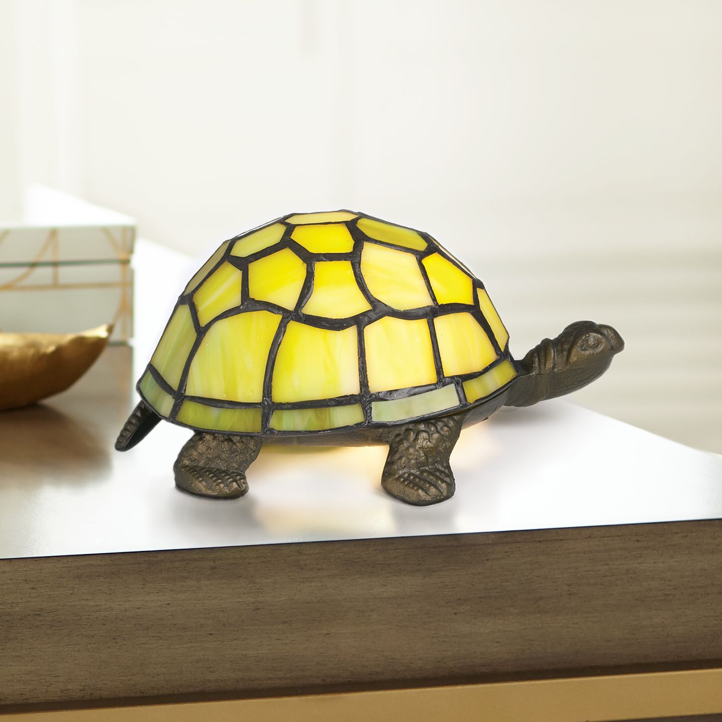 tortoise lamp