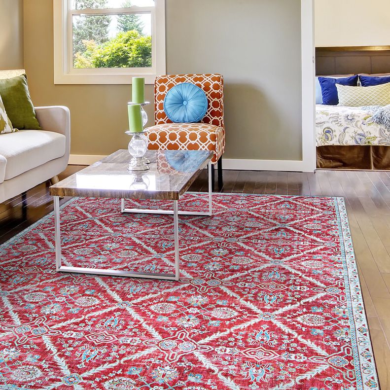 Pasha Arcadia Garnet Ivory Indoor Area Rug