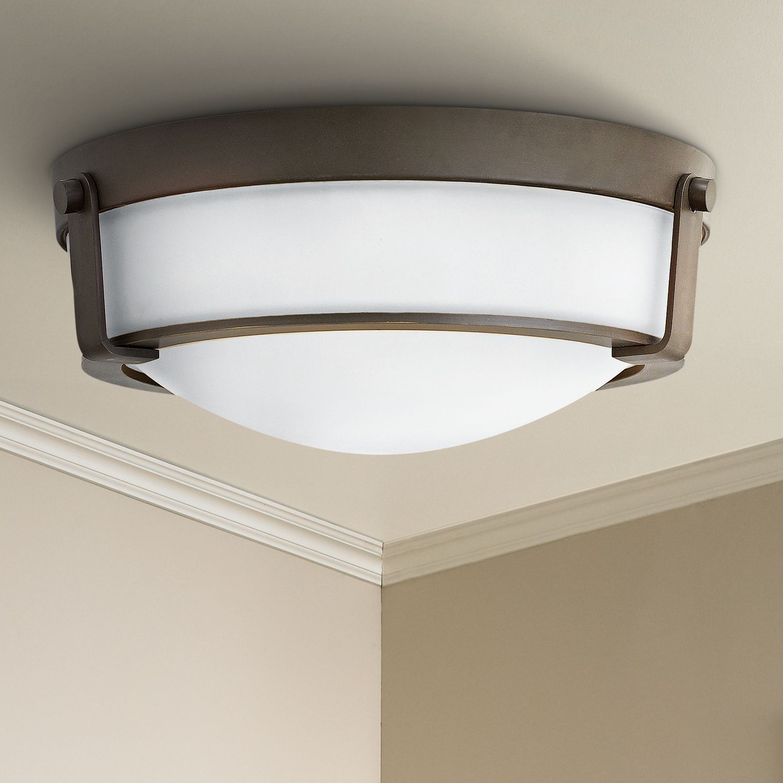 Hinkley Hathaway 16" Wide Olde Bronze Ceiling Light