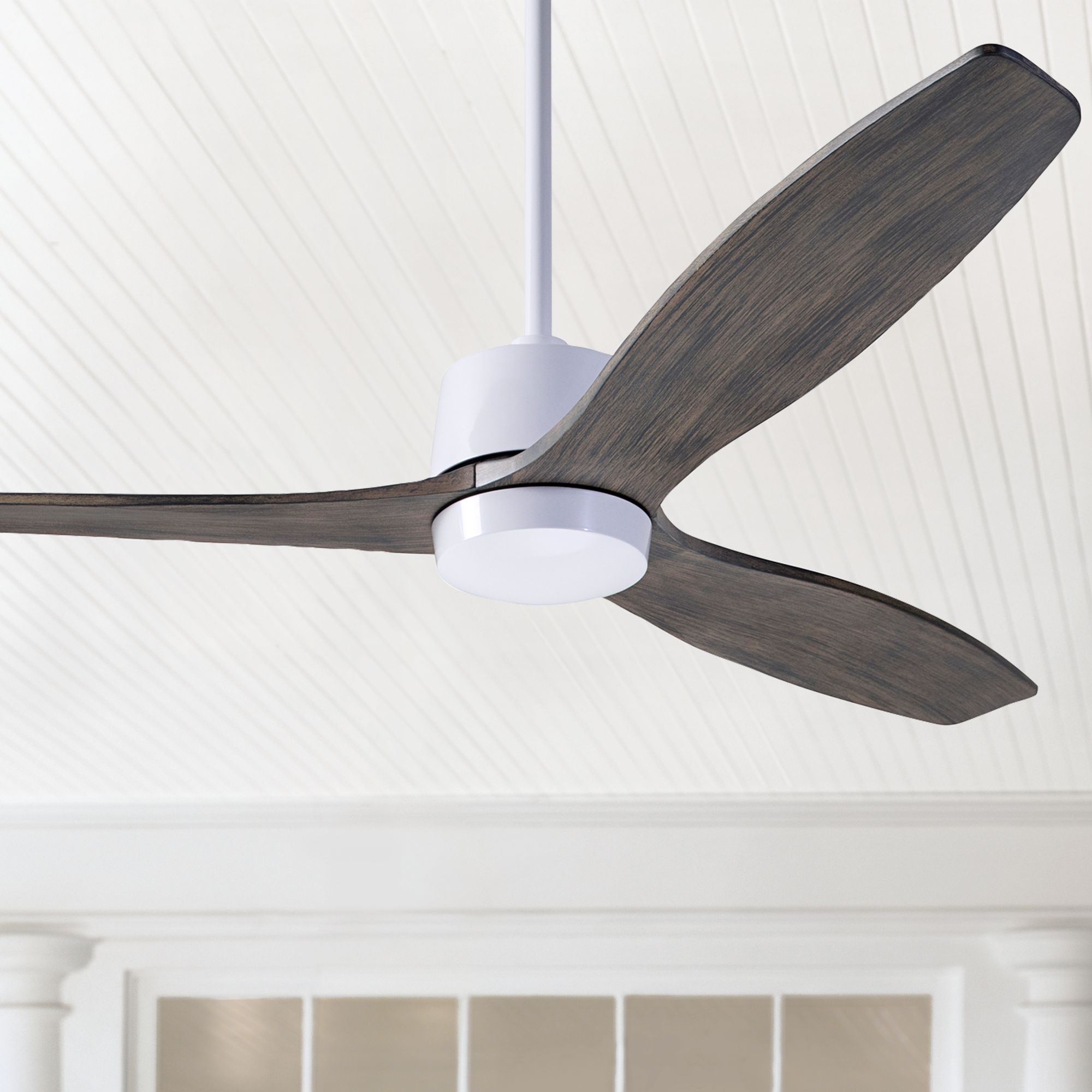 54" Modern Fan Arbor DC Gloss White - Graywash Damp Rated Ceiling