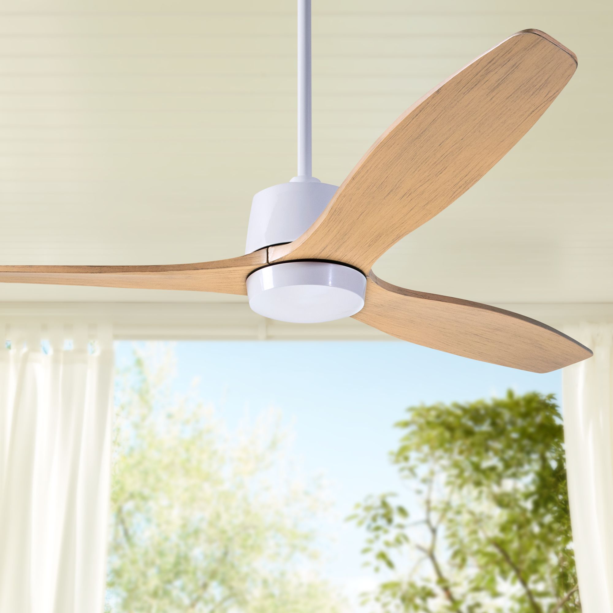 54" Modern Fan Arbor DC Gloss White and Maple Damp Rated Ceiling