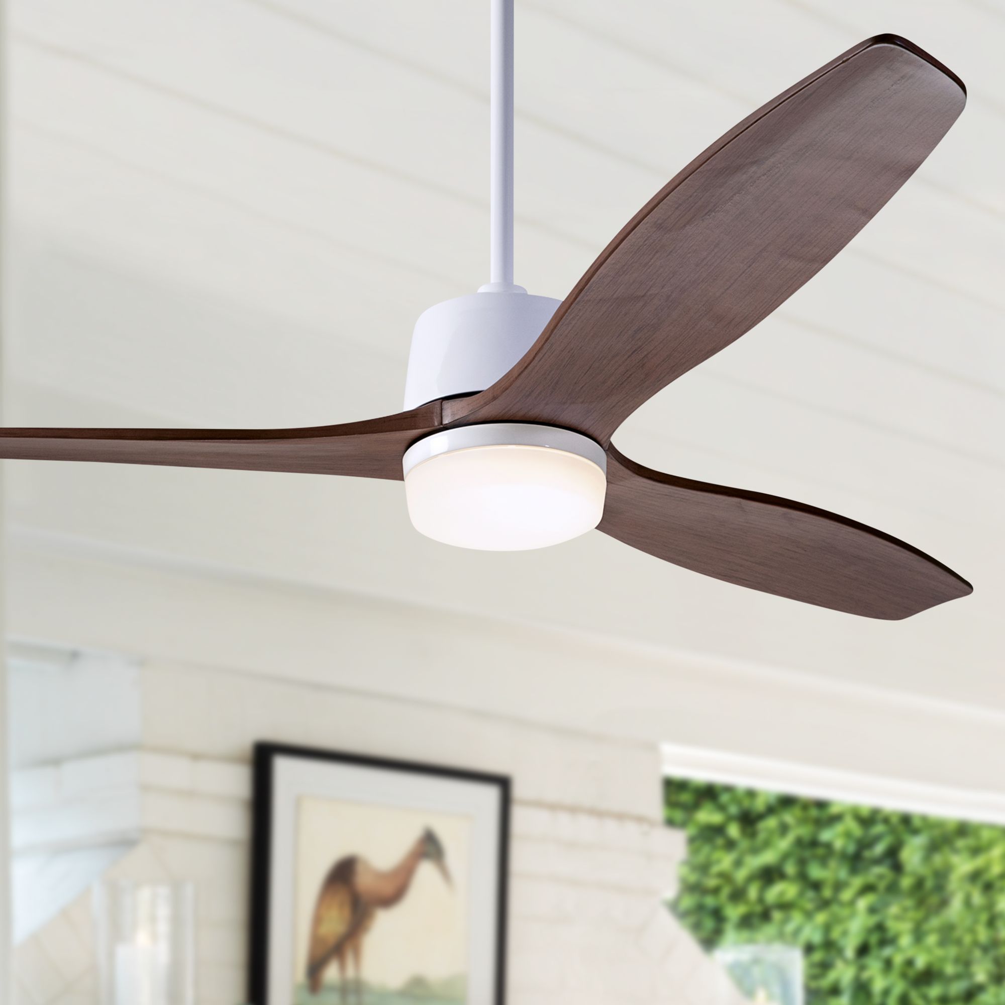 54" Modern Fan Arbor DC Gloss White and Mahogany Damp LED Ceiling