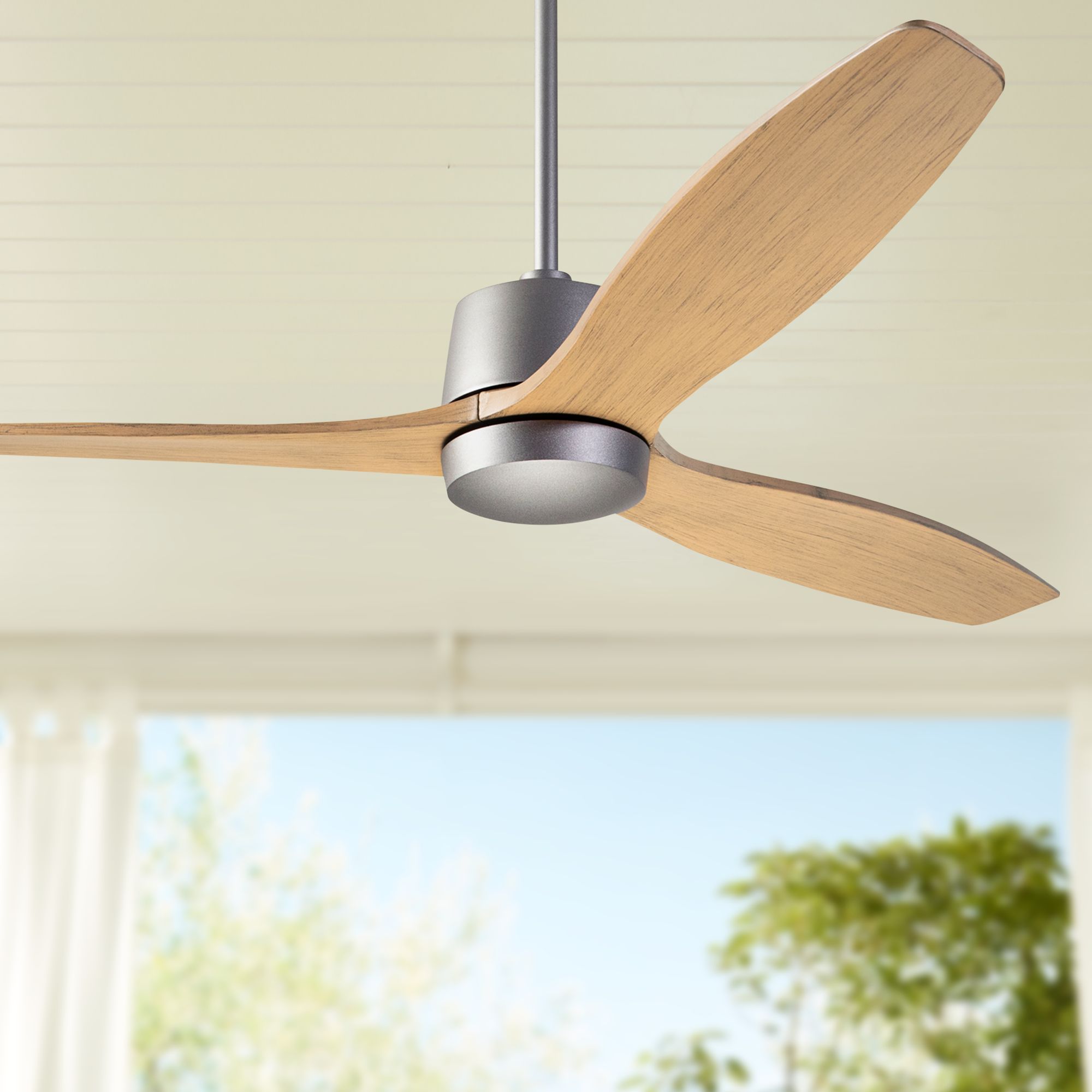 54" Modern Fan Arbor DC Graphite and Maple Damp Rated Ceiling