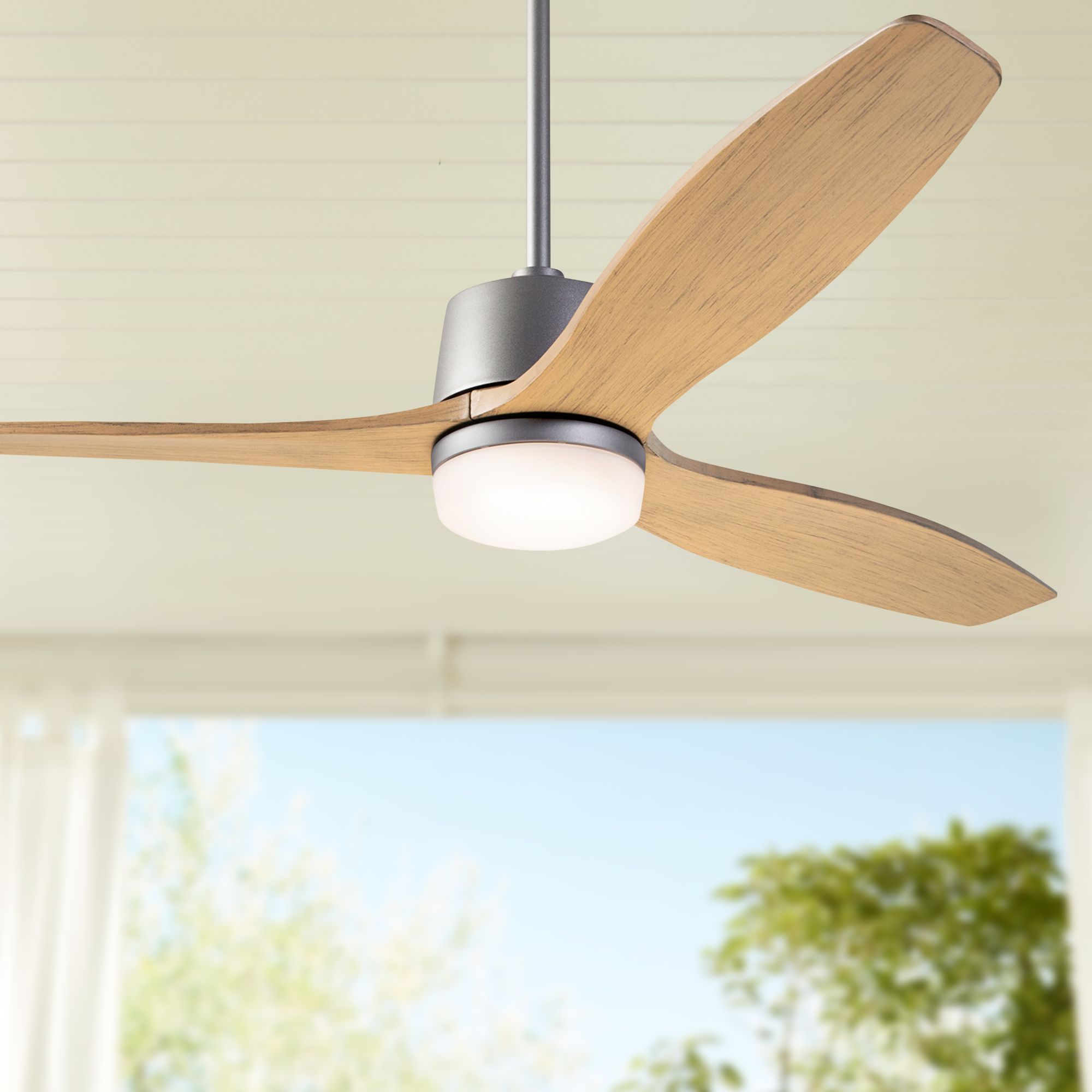 54" Modern Fan Arbor DC Graphite and Maple Damp Rated LED Ceiling