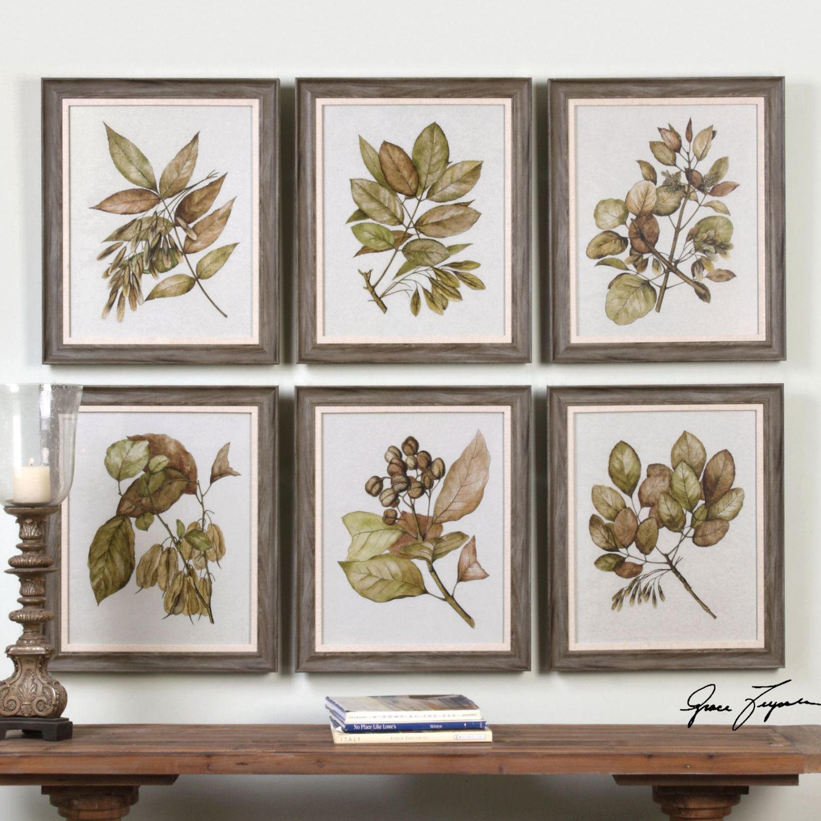 Uttermost Seedlings 6-Piece 24 1/4" High Wall Art Set