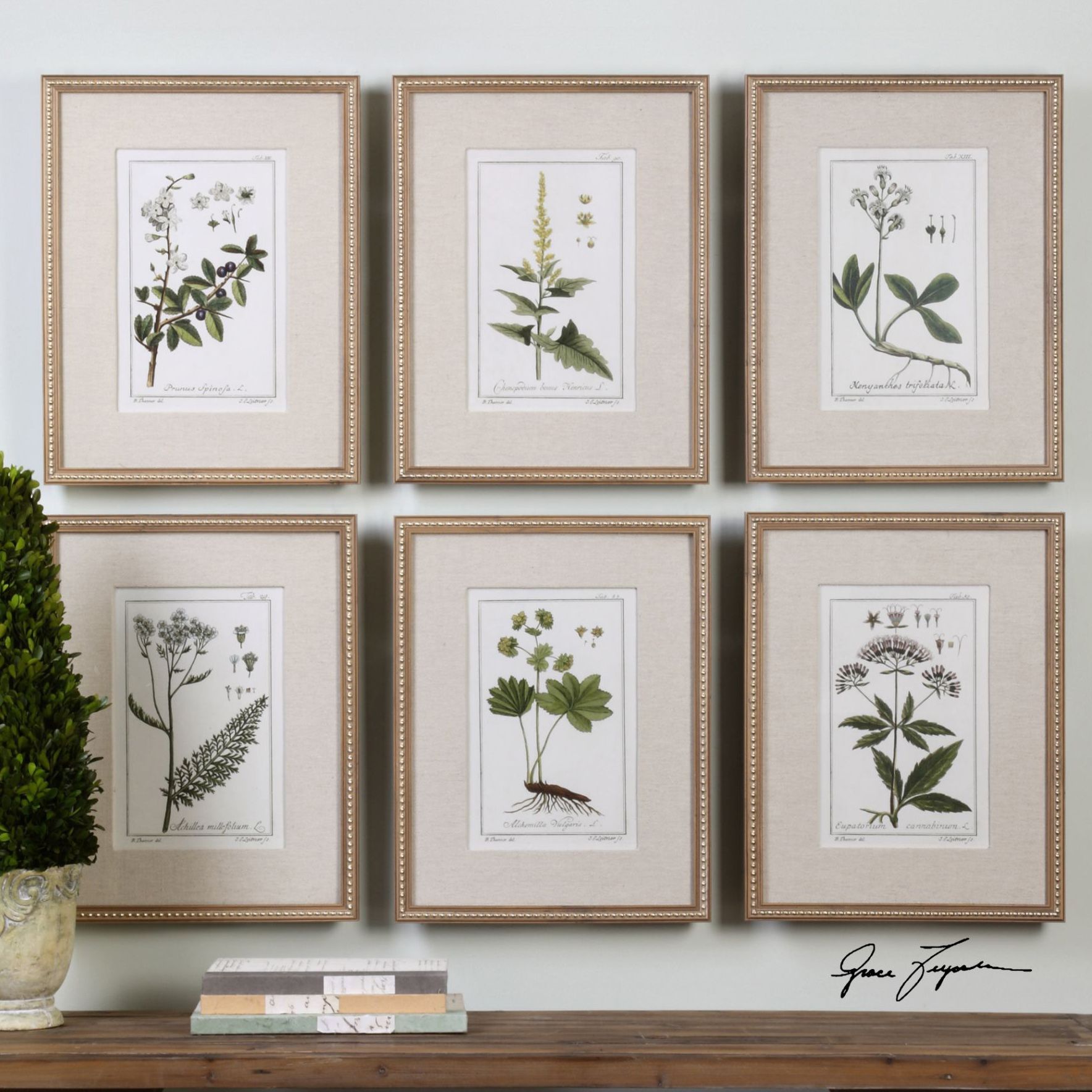 Green Floral Botanical Study 6-Piece 22 3/4"H Wall Art Set