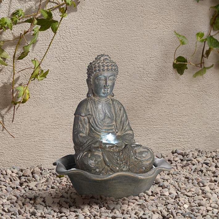 Chinese Feigenbaum 6-7 years with Buddha Fountain