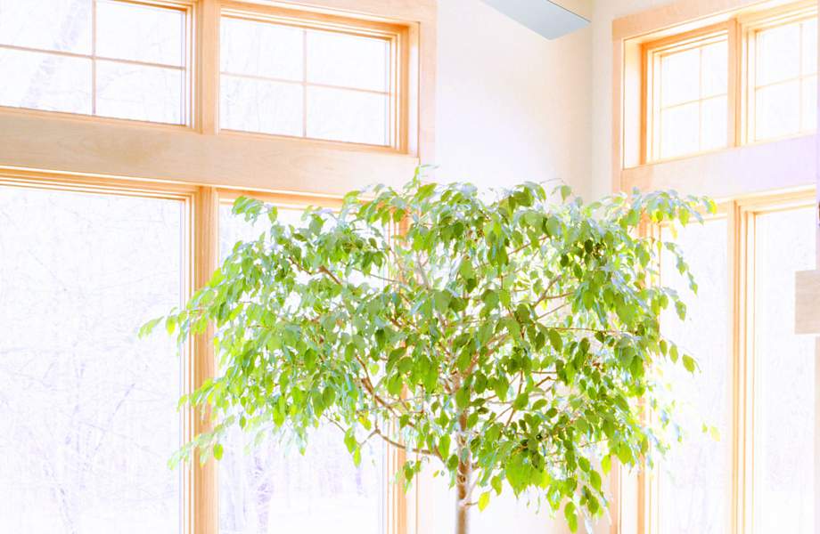 Keep A Sunroom Feeling Cool And Fresh With A Modern Ceiling