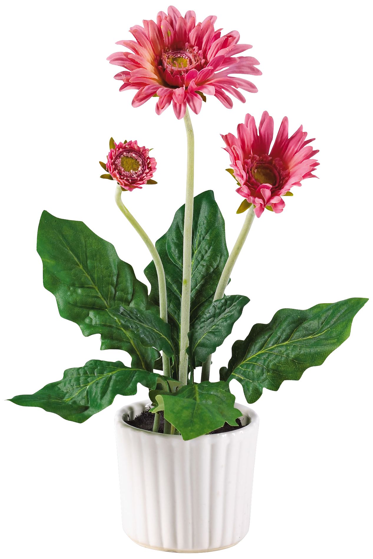Mixed Gerber Daisy 12" High 6Piece Potted Faux Flowers