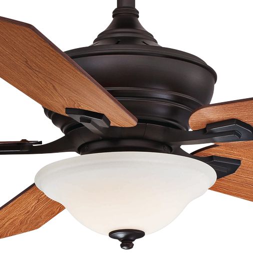 Hidden Camera Ceiling Fan Shelly Lighting
