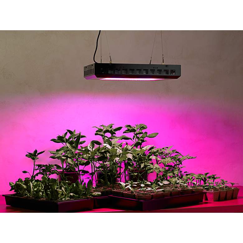 Tesler Hydroponic 600 Watt LED Indoor Grow Light more views